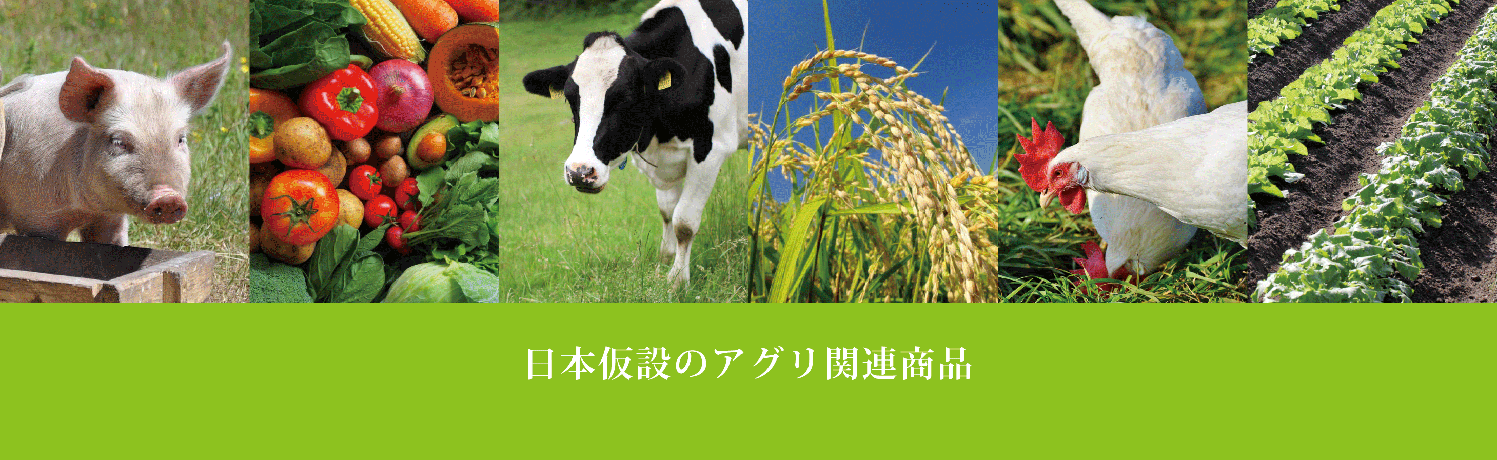 日本仮設の農業資材